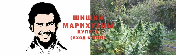 PSILOCYBIN Белоозёрский