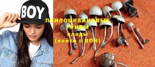 ешки Беломорск