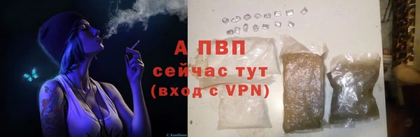 PSILOCYBIN Белоозёрский